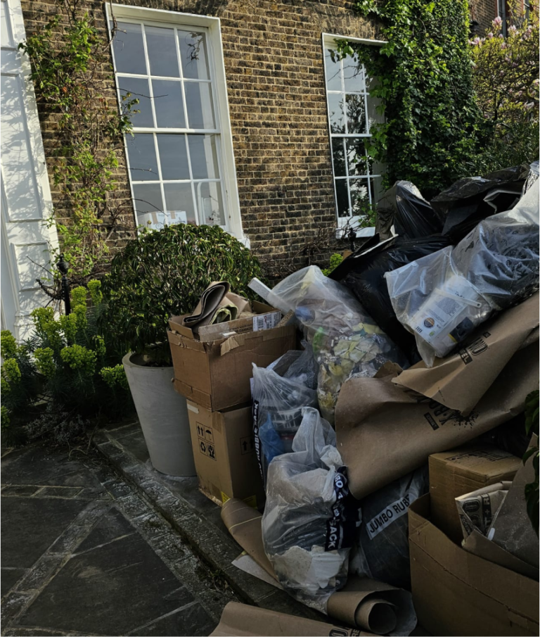 Junk and Waste Removal